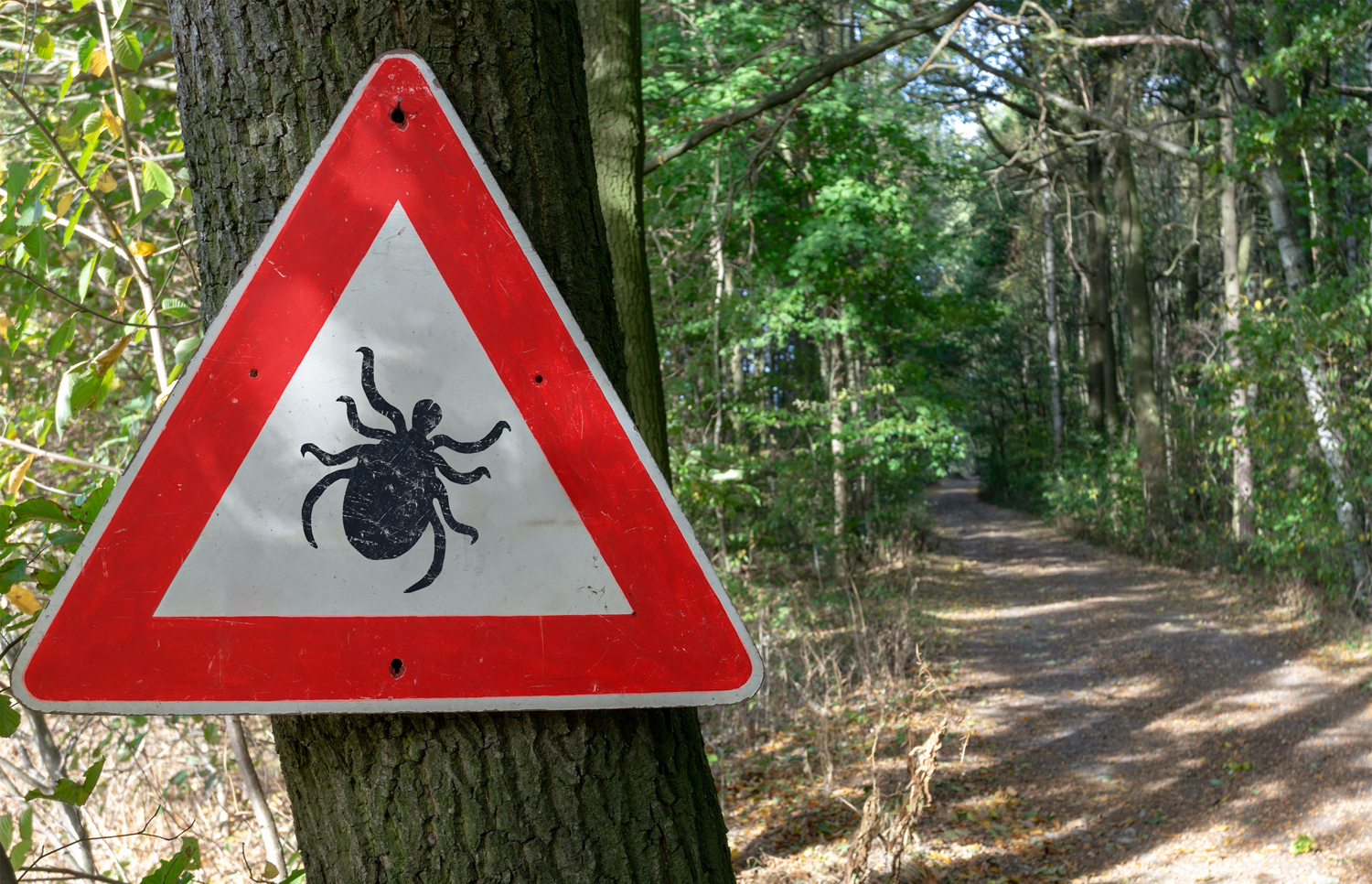 Vorsicht vor Zecken Vorsicht vor Zecken